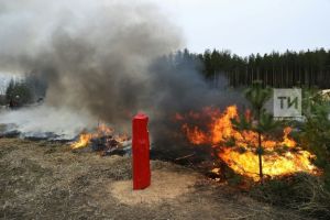 С начала года в Татарстане пожарные 28 раз выезжали тушить сухую траву и камыш