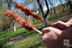 Татарстанцам рассказали, где можно приготовить шашлыки в майские праздники