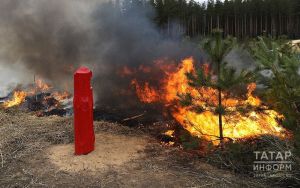 Управление Россельхознадзора по РТ: сжигание сухой травы — опасно